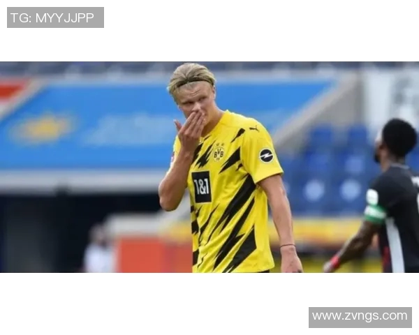 拜仁慕尼黑悍将贝尔纳多领先德甲射手榜，谁与争锋？